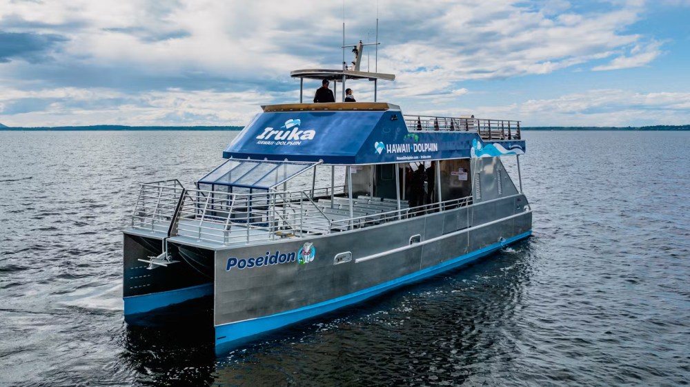 Poseidon our purpose built dolphin swim catamaran boat