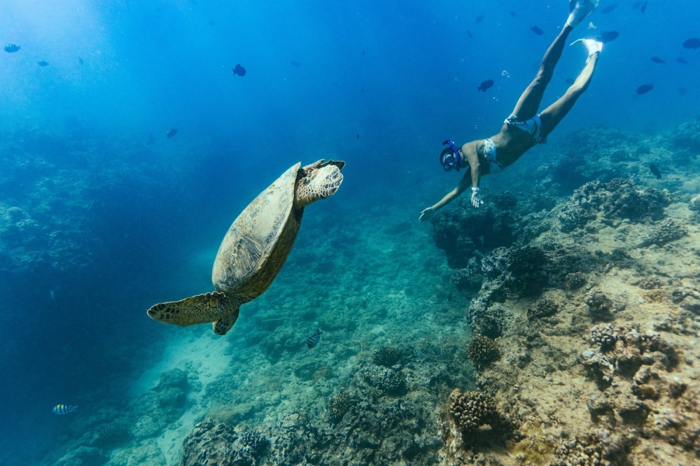 a man swimming in the water